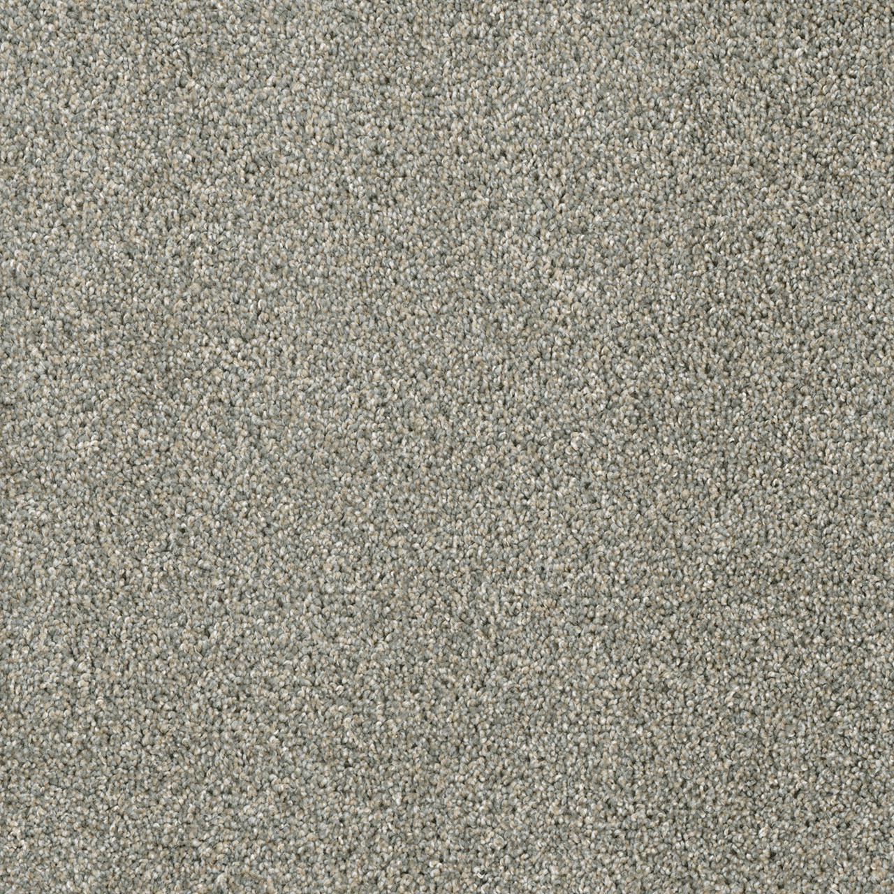 Dreamweaver Carpet Yellowstone Sandy Trail DREAMWEAVER