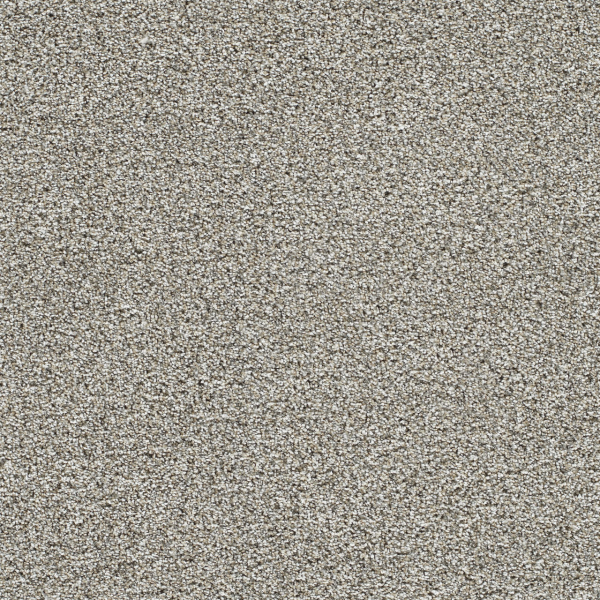 Dreamweaver Carpet Lucky Penny II Elite DREAMWEAVER