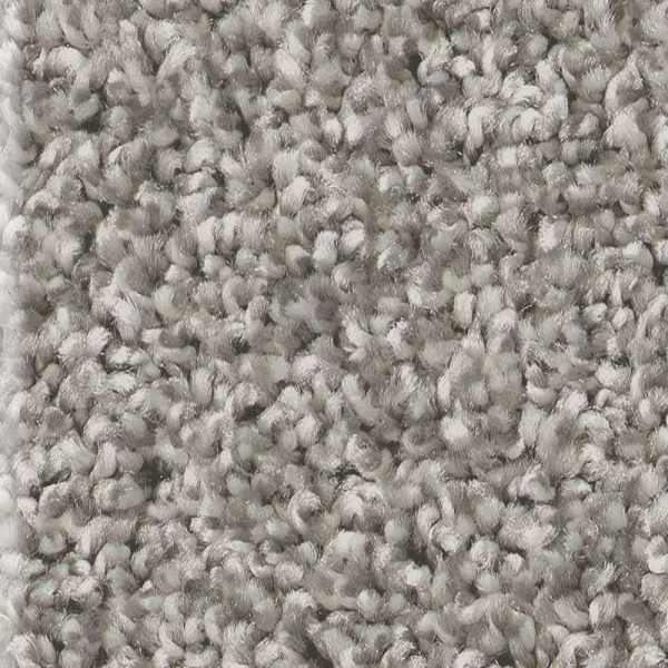 Shaw Floors Affirmation I Lunar Surf SHAW