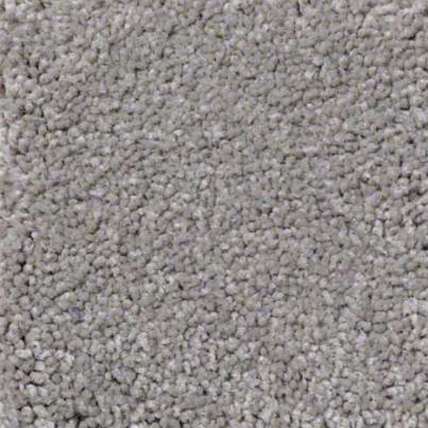 Shaw Floors Ultimate Expression 15' London Fog SHAW