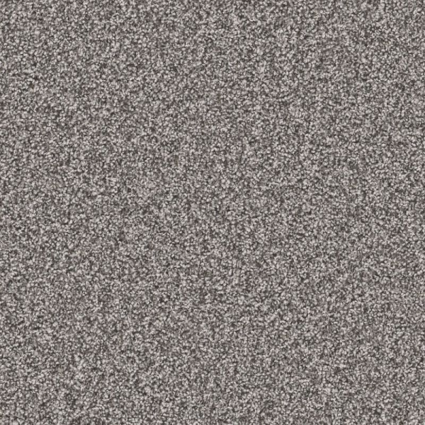 Shaw Floors Affirmation I Rush Hour SHAW