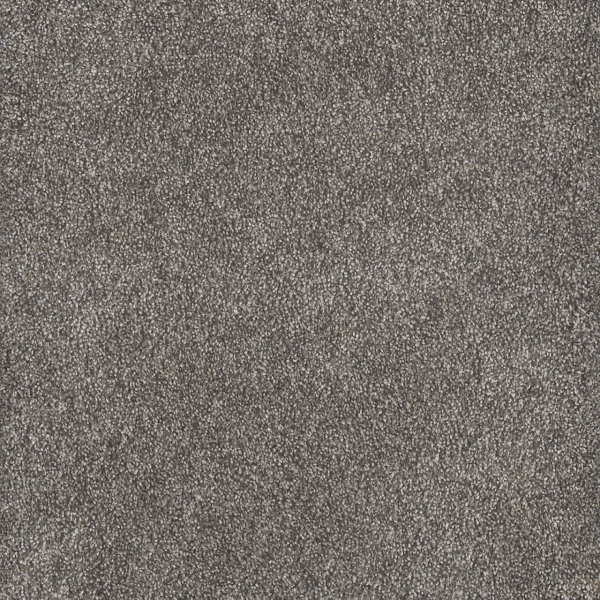 Dreamweaver Carpet Rustic Retreat I Cloud Coast DREAMWEAVER