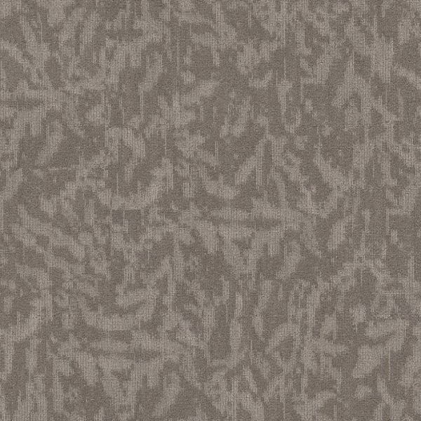 Philadelphia Commercial Modern Heirloom Abalone Shaw