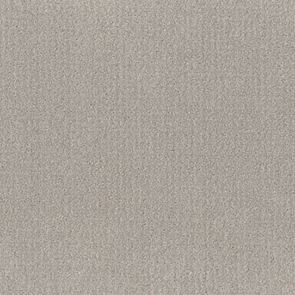 Shaw Floors Translate Feather SHAW