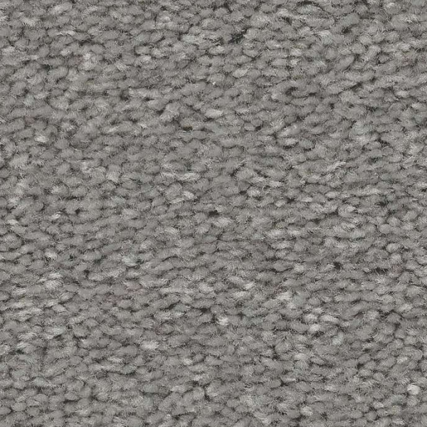 Shaw Floors Well Made Nickel SHAW