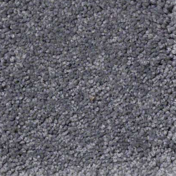 Shaw Floors Ultimate Expression 15' Slate SHAW