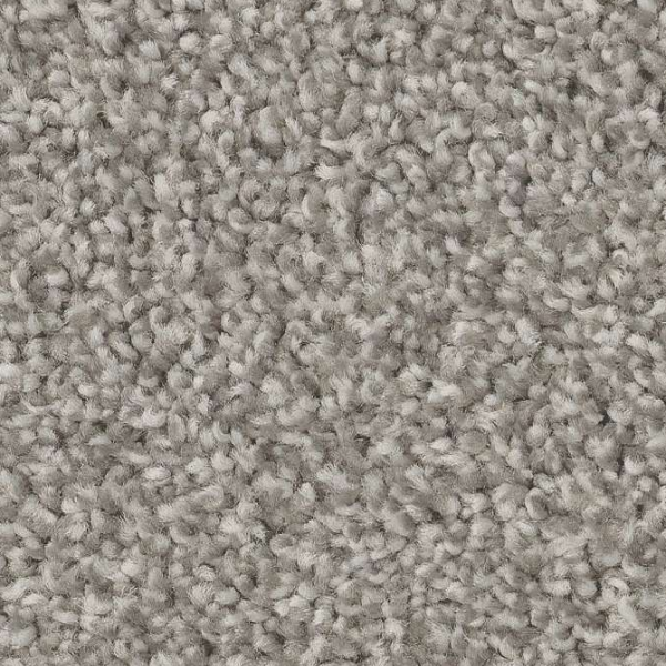 Shaw Floors Trusolutions II Concrete SHAW