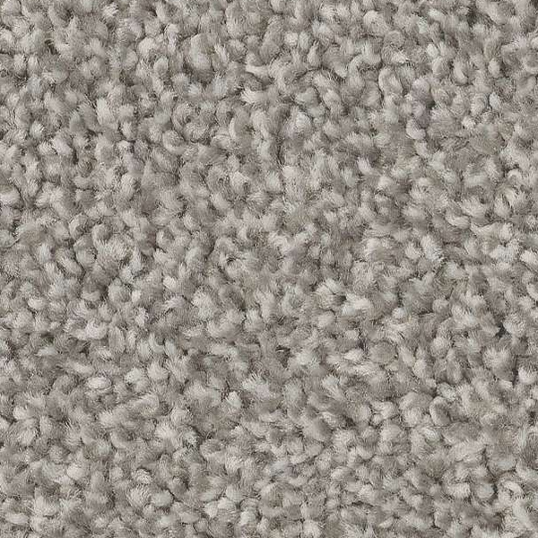 Shaw Floors Trusolutions III Concrete SHAW