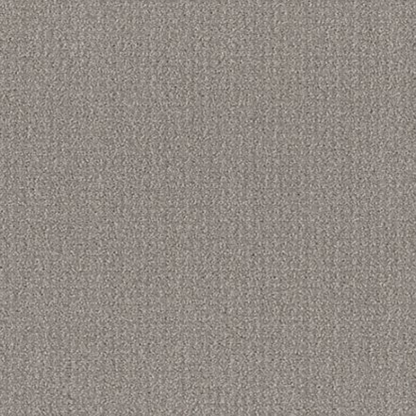 Shaw Floors Translate Steel Beam SHAW