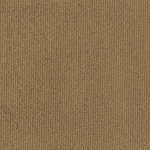 Milliken Carpets Artesia Expedition