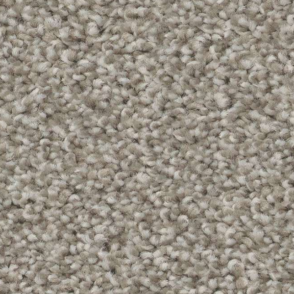 Shaw Floors Trusolutions I Stone Path SHAW