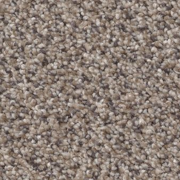 Shaw Floors Truspirit II Concrete SHAW