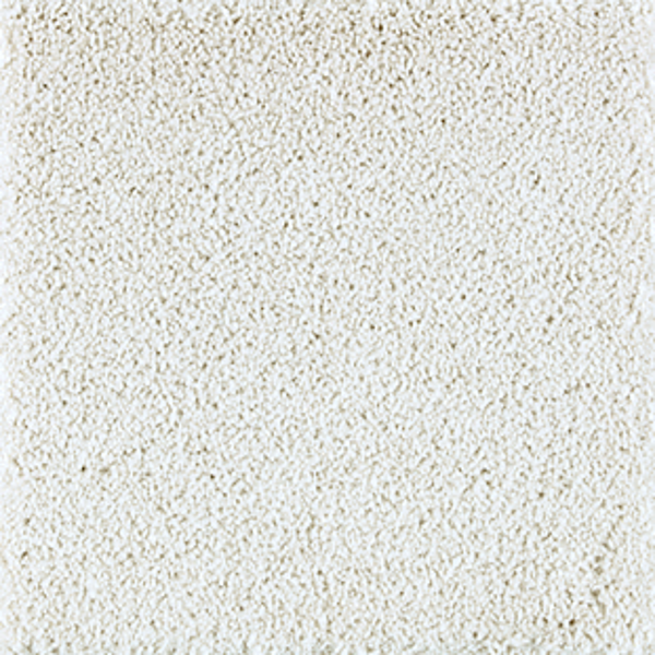 Horizon Carpet Exquisite Attraction Nouveau Mohawk