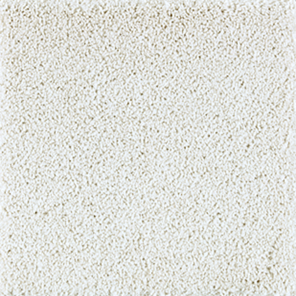 Horizon Carpet Exquisite Beauty Nouveau Mohawk