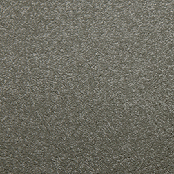 Tarkett Home Carpets Downy Chrome LEXMARK
