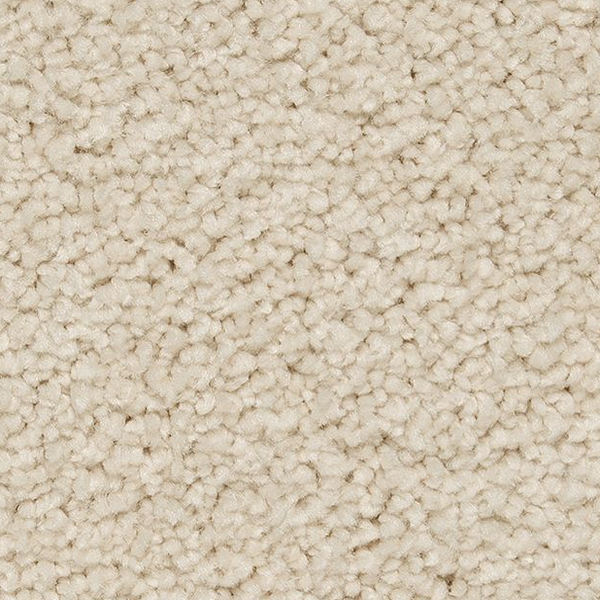 Horizon Carpet Pleasant Touch Romano Mohawk