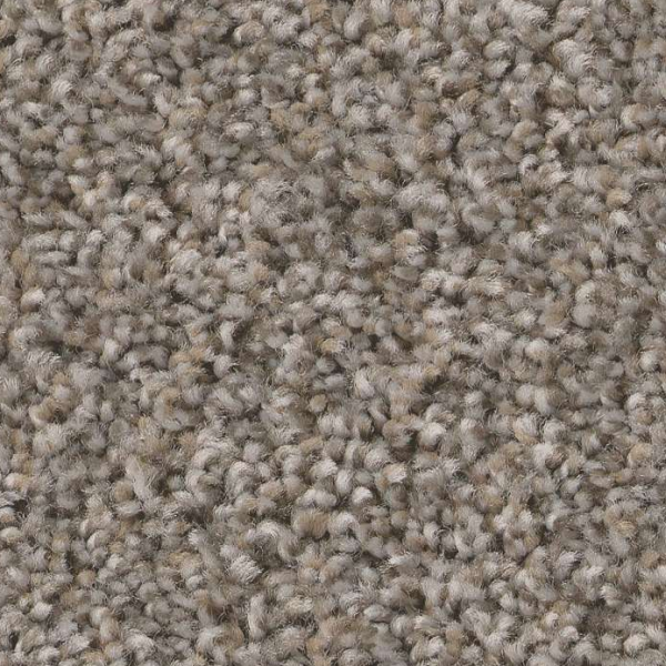 Shaw Floors Always Right II Graphite SHAW
