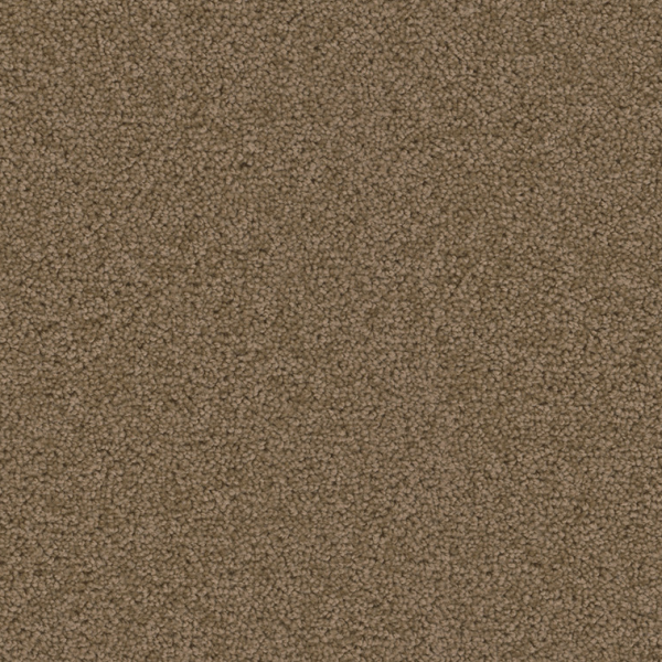 Dreamweaver Carpet Broadcast Plus Honey Beige DREAMWEAVER