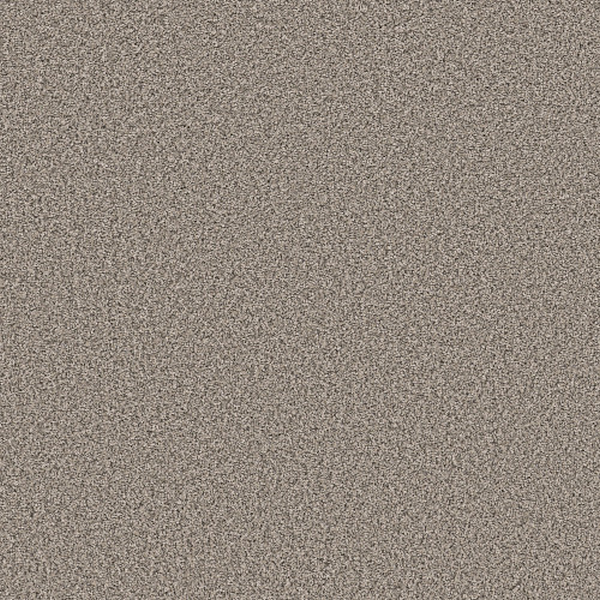 Shaw Floors Soft Radiance Overcast SHAW