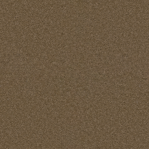Dreamweaver Carpet Exceptional II Sable DREAMWEAVER