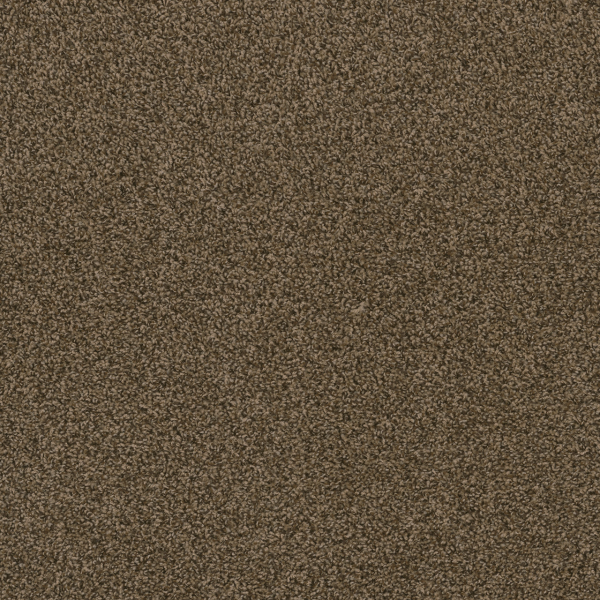 Dreamweaver Carpet Hot Pursuit Agate DREAMWEAVER