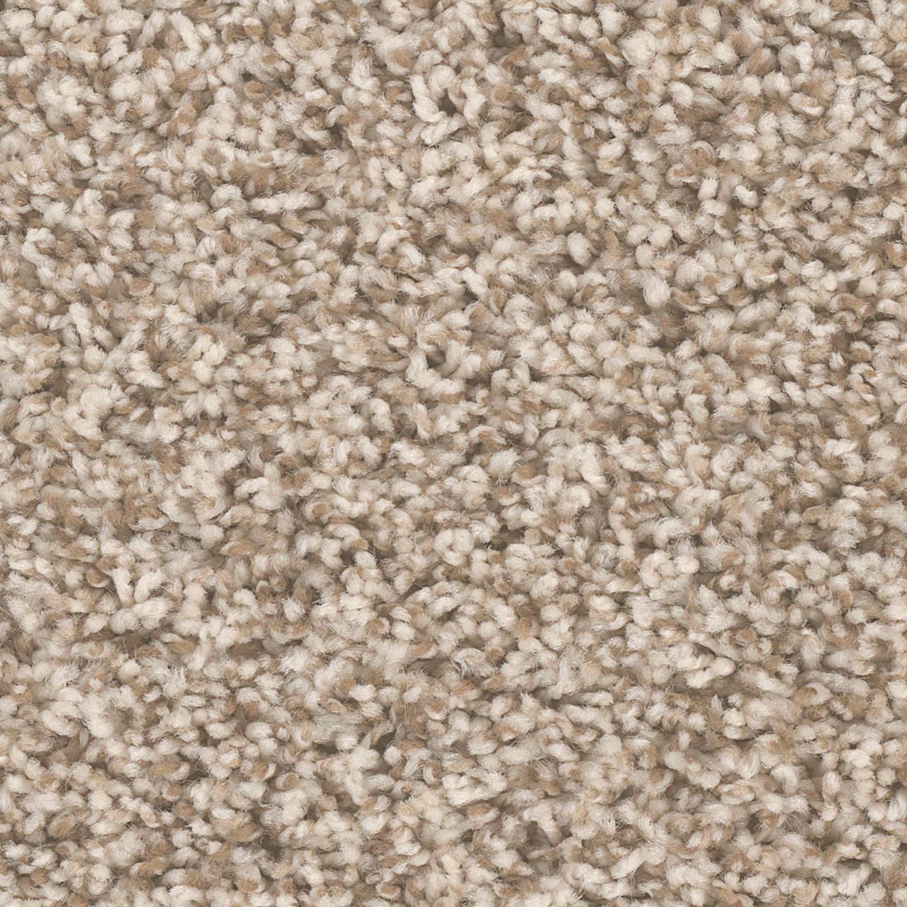 Dreamweaver Carpet West Brow Agate DREAMWEAVER