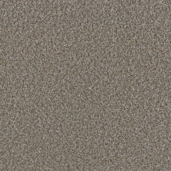 Dreamweaver Carpet Timberline I Cedar Key DREAMWEAVER