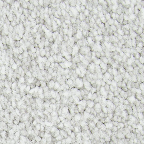 Mohawk Carpet Noteworthy Selection Platinum Mohawk