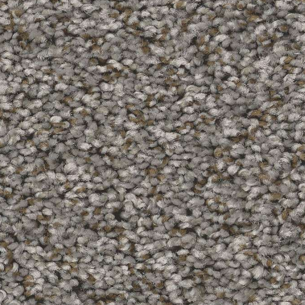 Shaw Floors Feelin' Alright Washed Suede SHAW