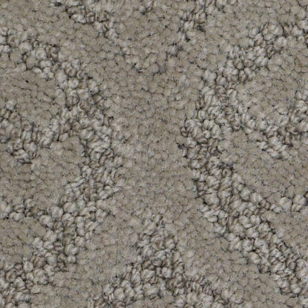 Tuftex Modern Amenities Birch Bark SHAW