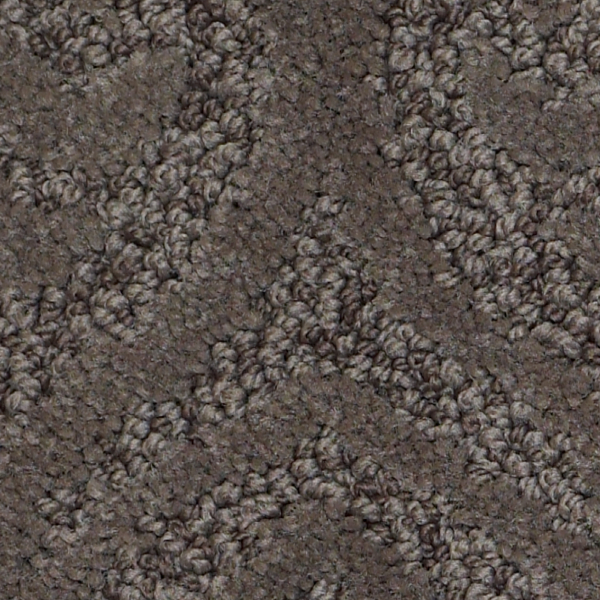 Tuftex Modern Amenities Chinchilla SHAW