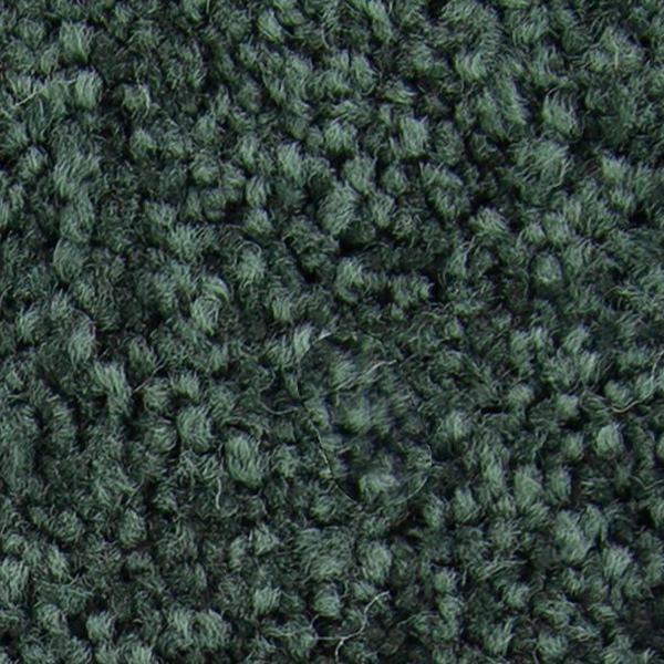 Horizon Carpet Exceptional Choice Eden Mohawk