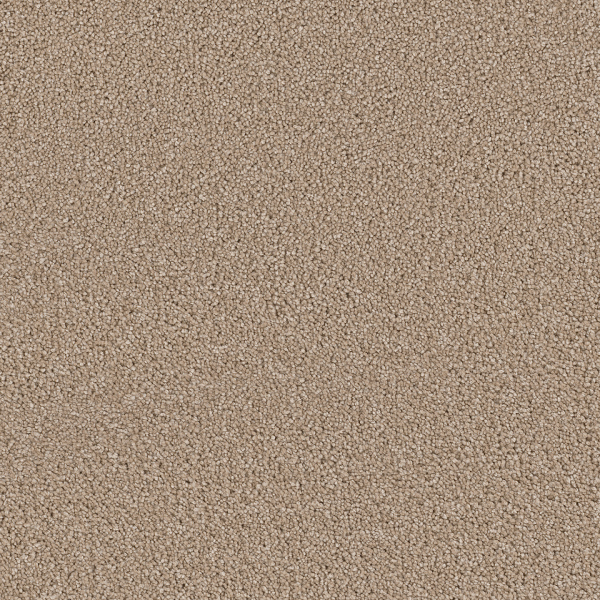 Dreamweaver Carpet Cape Cod Cashew DREAMWEAVER