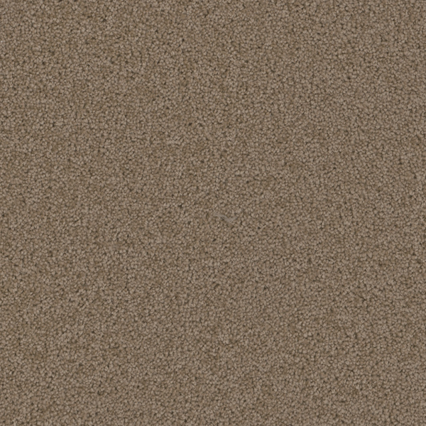 Dreamweaver Carpet Broadcast Plus Doeskin DREAMWEAVER