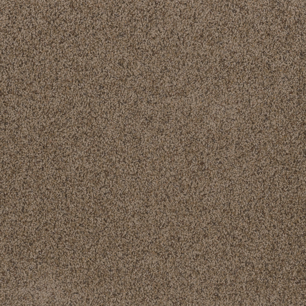Dreamweaver Carpet Toast Of The Town Vallum DREAMWEAVER