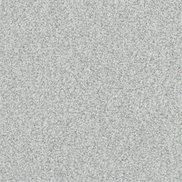 Masland Carpets Boca Raton Infinite Masland