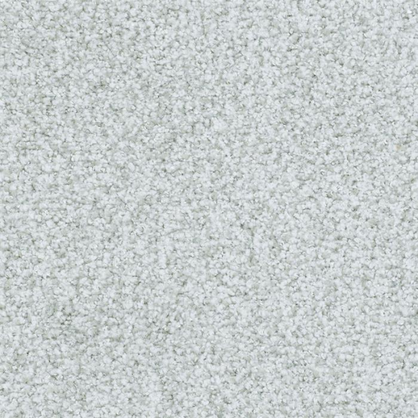 Masland Carpets St Augustine Infinite Masland