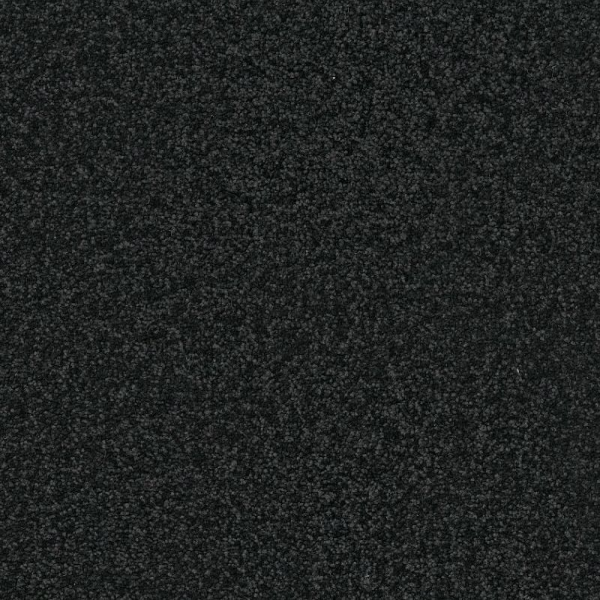 Shaw Floors Awaken Spirit I 12' Blackout SHAW
