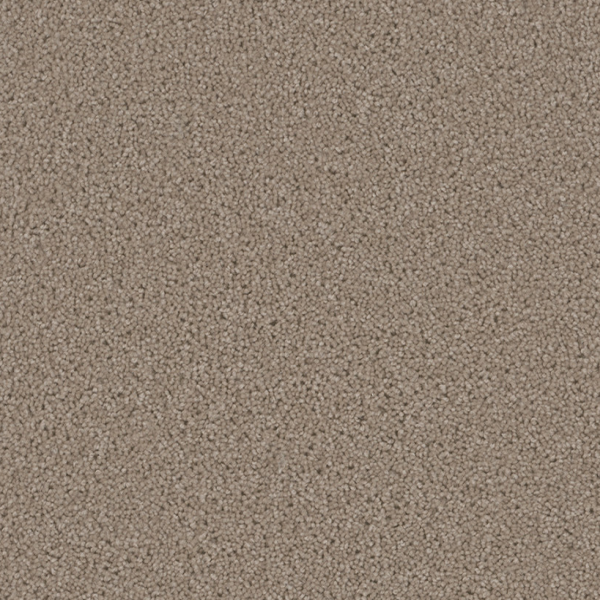 Dreamweaver Carpet Broadcast Plus Flax Beige DREAMWEAVER