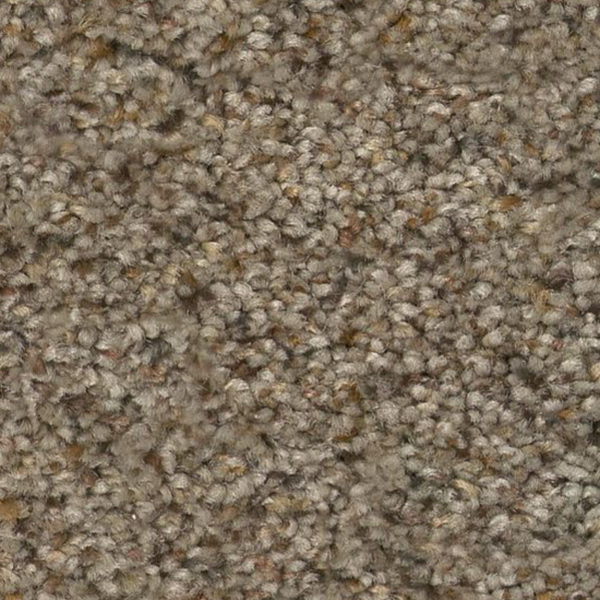 Tuftex Topanga Canyon Oxford SHAW