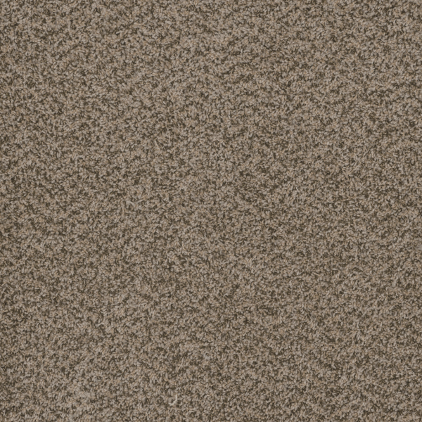 Dreamweaver Carpet Hot Pursuit Crystal DREAMWEAVER