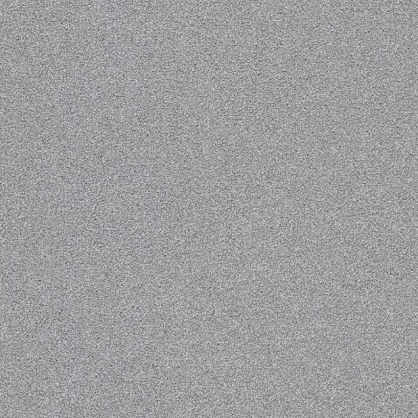 Shaw Floors Your Comfort II Polished Silver SHAW