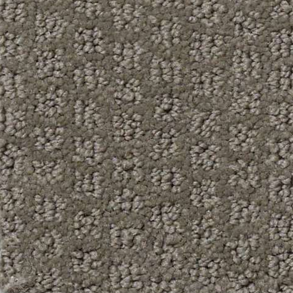Shaw Floors Pacific Trails Charcoal SHAW