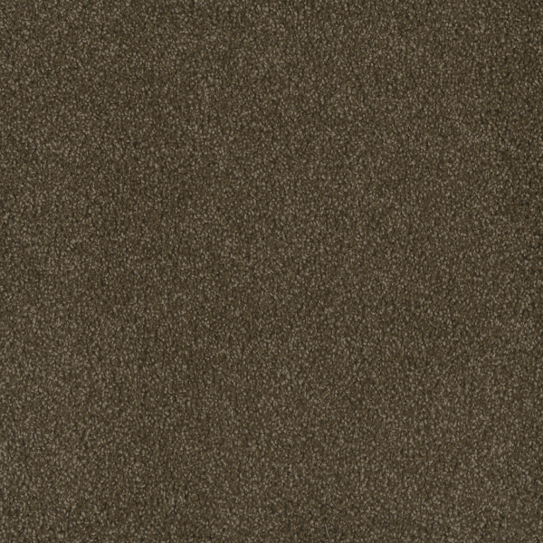Dreamweaver Carpet Hammond Creek I Black Walnut DREAMWEAVER