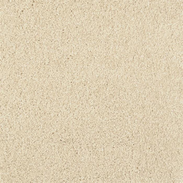 Masland Carpets Miami Dunes Masland