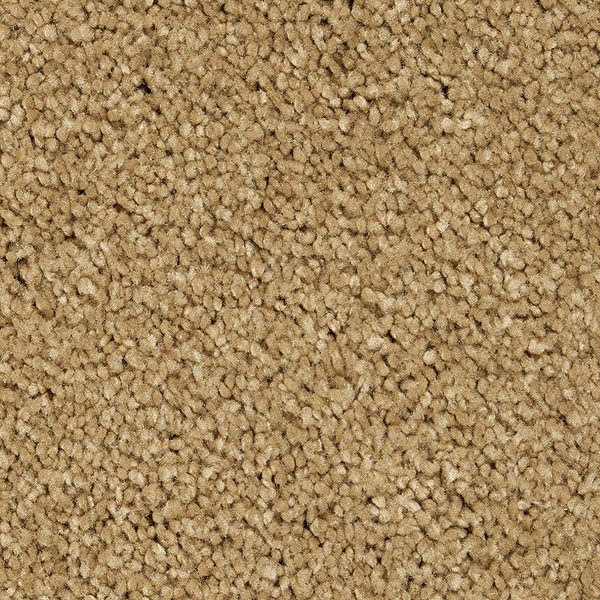 Horizon Carpet Gentle Approach Stonington Beige Mohawk