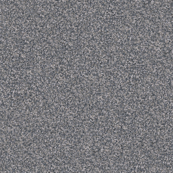 Dixie Home Shepherd Pumi
