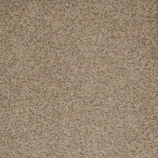 Dreamweaver Carpet Astounding I Fiery Clay DREAMWEAVER