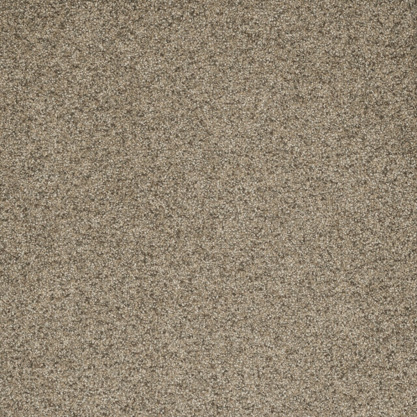 Dreamweaver Carpet Astounding II Fiery Clay DREAMWEAVER