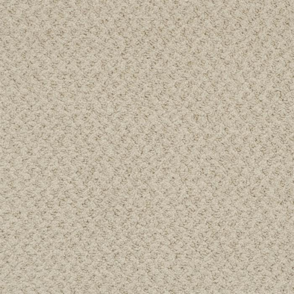 Masland Carpets New Hope Foggy Masland